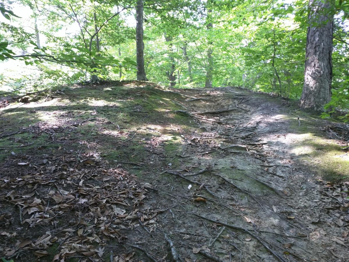 Rancocas Woods photo