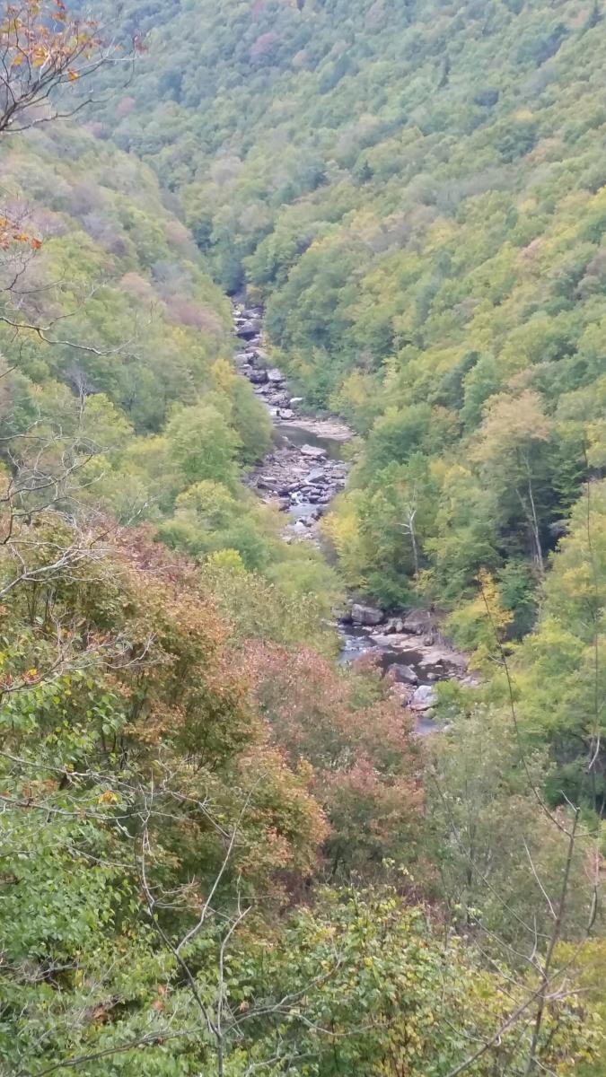 Blackwater Canyon Trail Mountain Bike Trail in Thomas, West Virginia