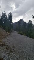 Bristlecone Trail 