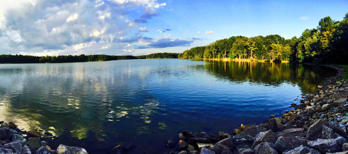 Herb Parsons Mountain Bike Trail in Memphis, Tennessee
