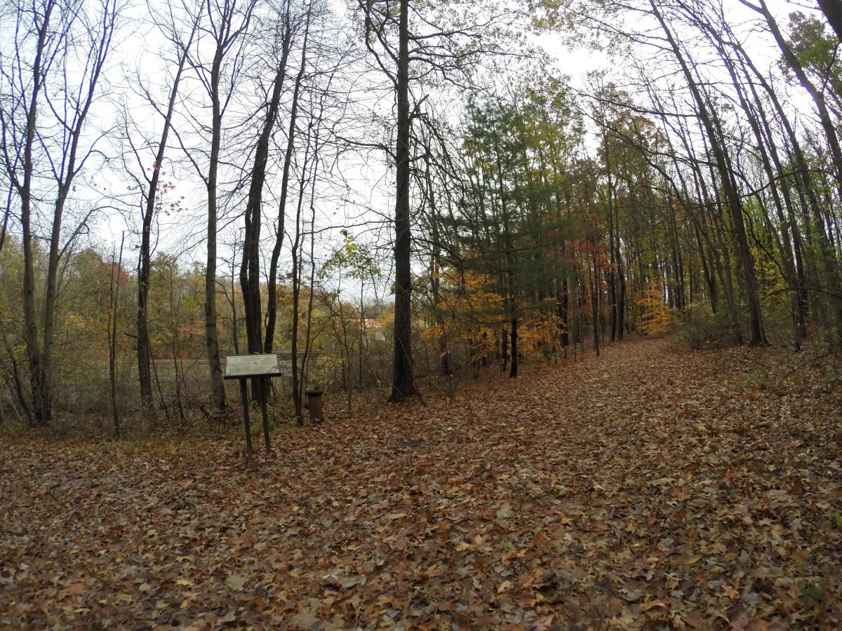 Wolfes Pond park photo