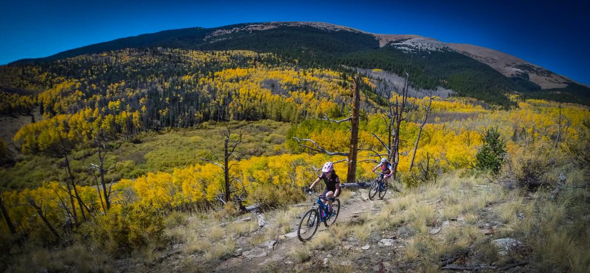 Sheep Creek Mountain Bike Trail in Fairplay, Colorado