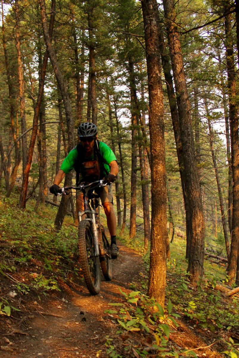 Emmet's Mountain Bike Trail in Helena, Montana