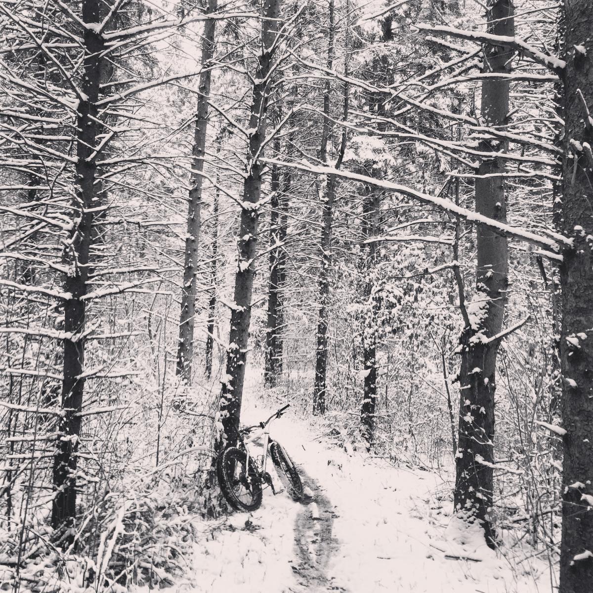 New Fane Mountain Bike Trail in Kewaskum, Wisconsin
