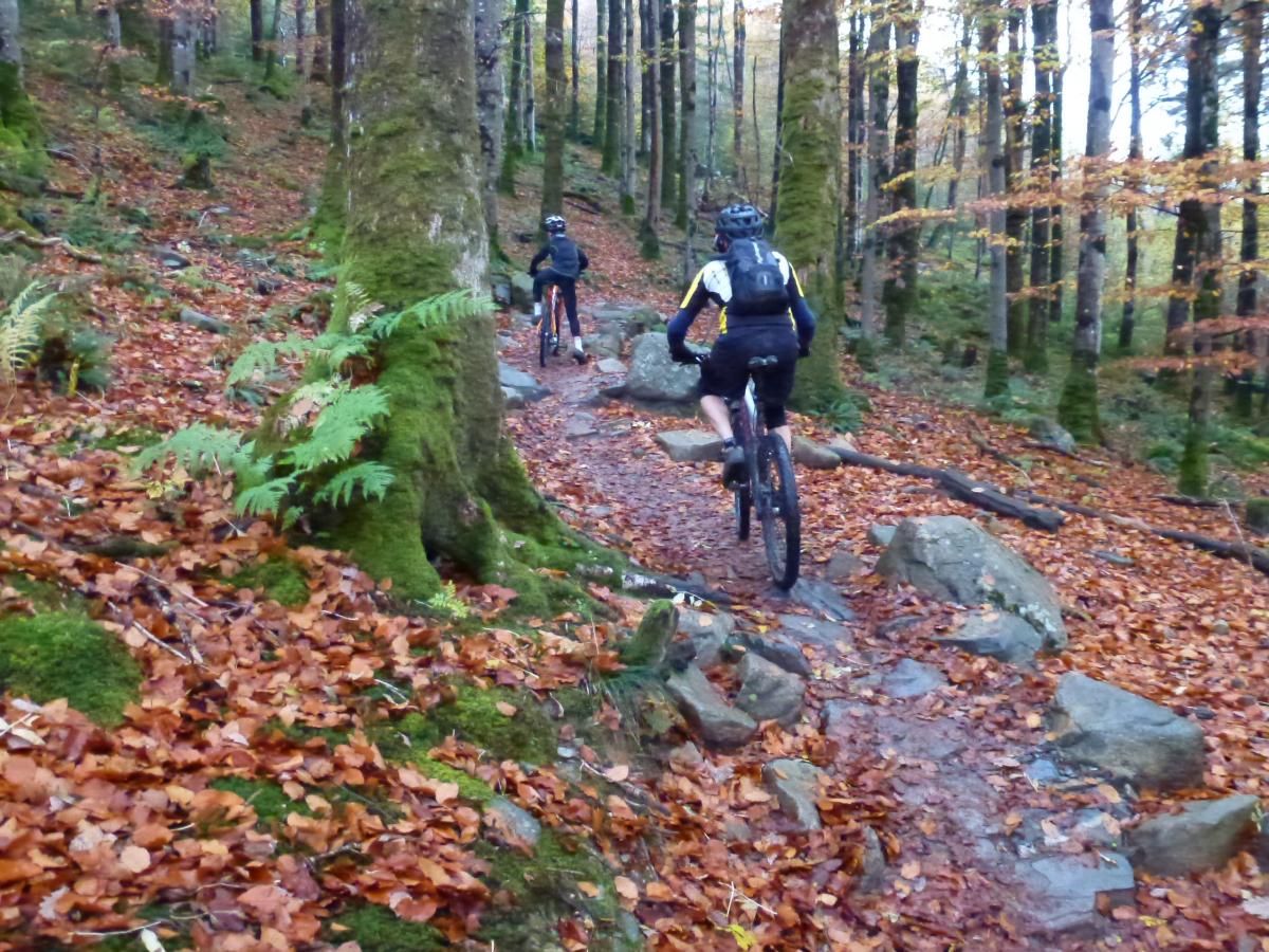 Dragons Back Mountain Bike Trail in Dolgellau, England