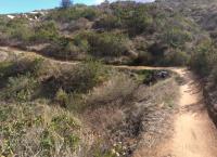 Raptor Ridge 