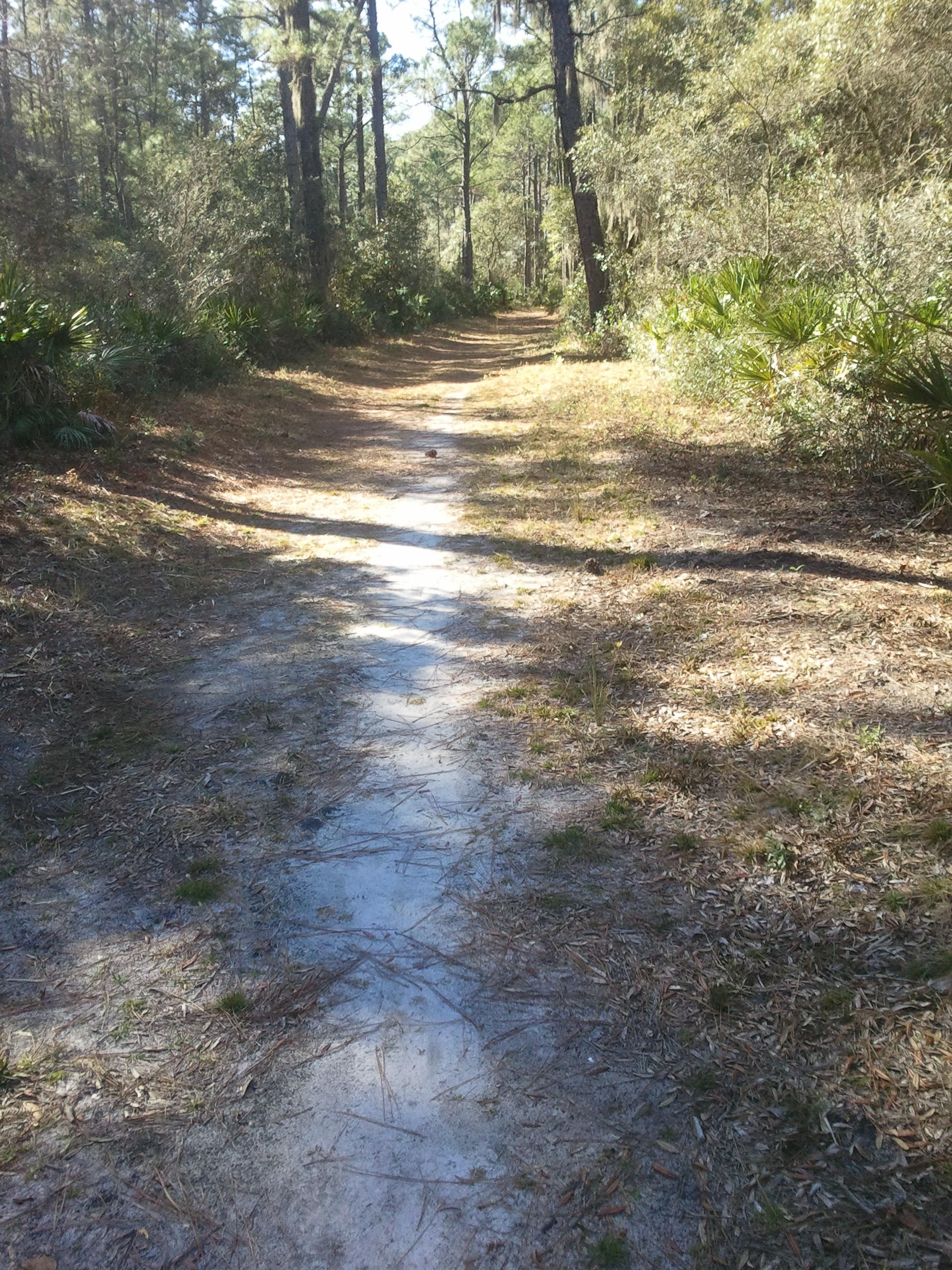 Victoria Bluff Heritage Preserve photo