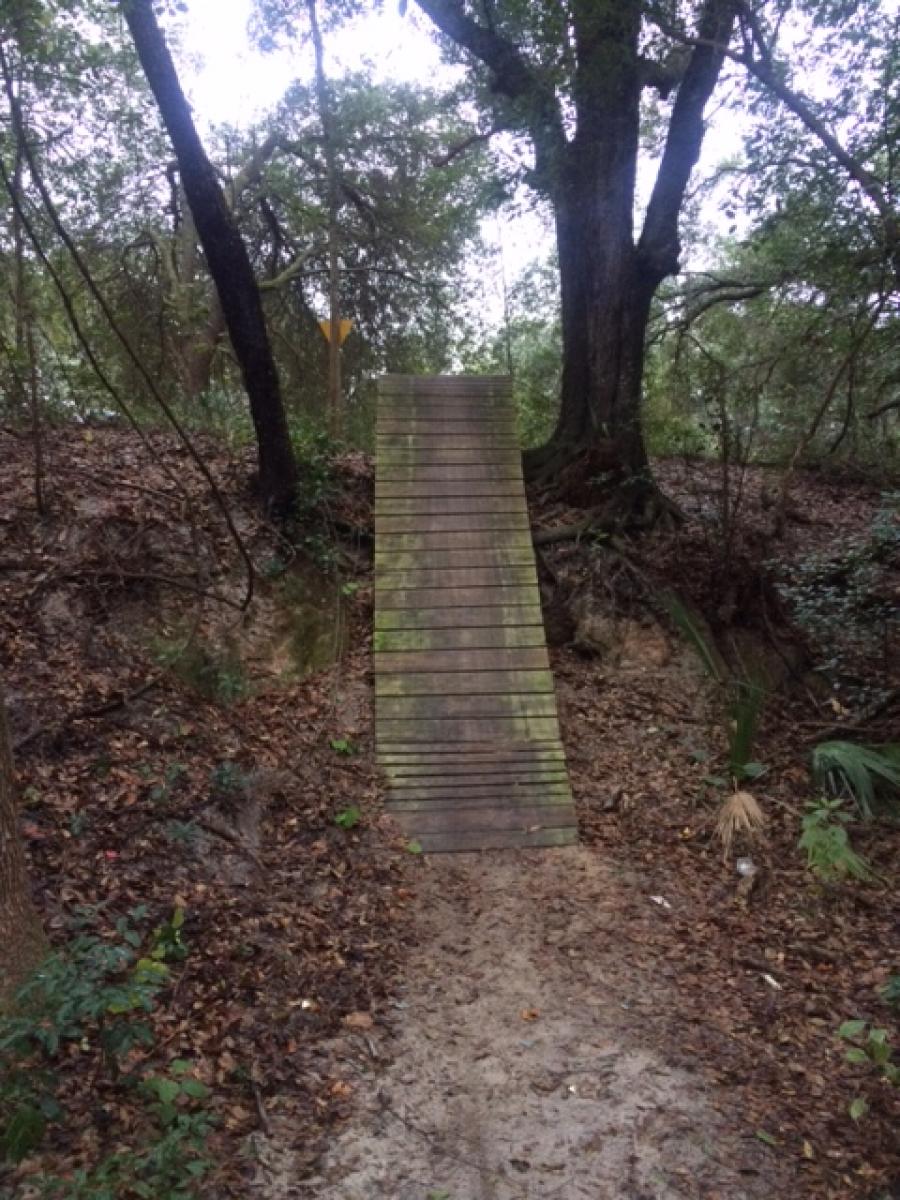 Iphone Bike Mount >> Mount Dora Trail photo || SINGLETRACKS.COM Iphone Bike Mount >> Mount Dora Trail photo || SINGLETRACKS.COM