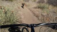 High Chaparral Open Space 