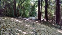 Peavine Ridge 