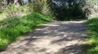 Hazel Loop 