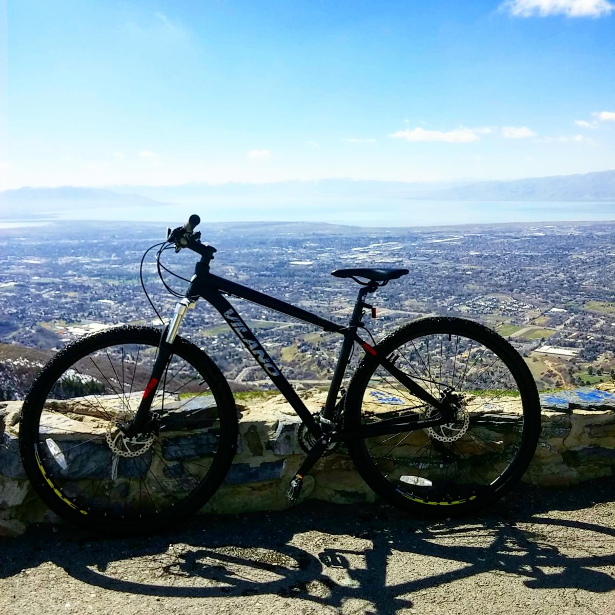 blackjack 3.0 29er mountain bike