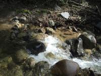Coal Creek Open Space Preserve 