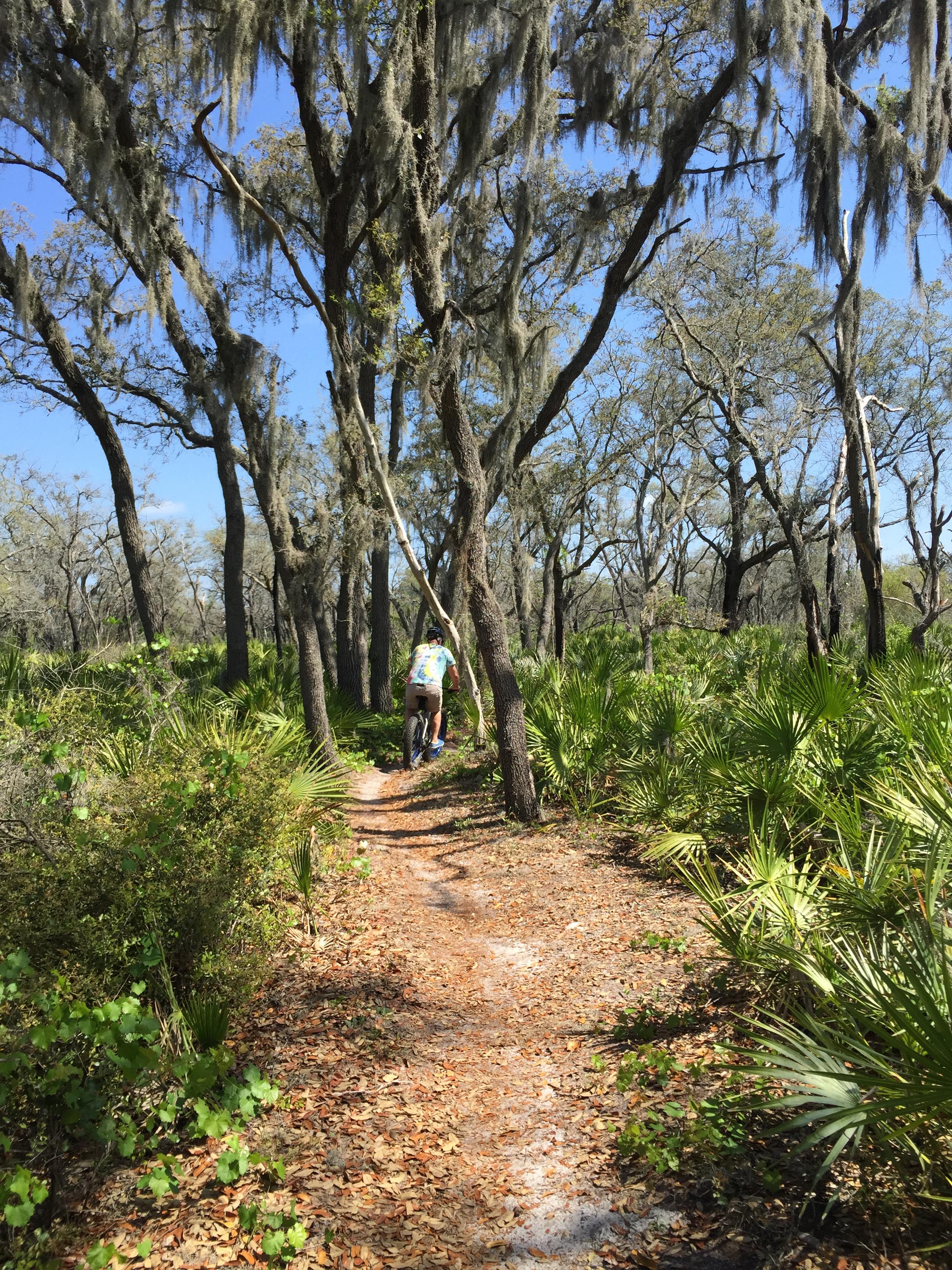 Alafia River State Park photo