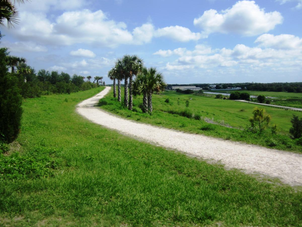 The Celery Fields photo