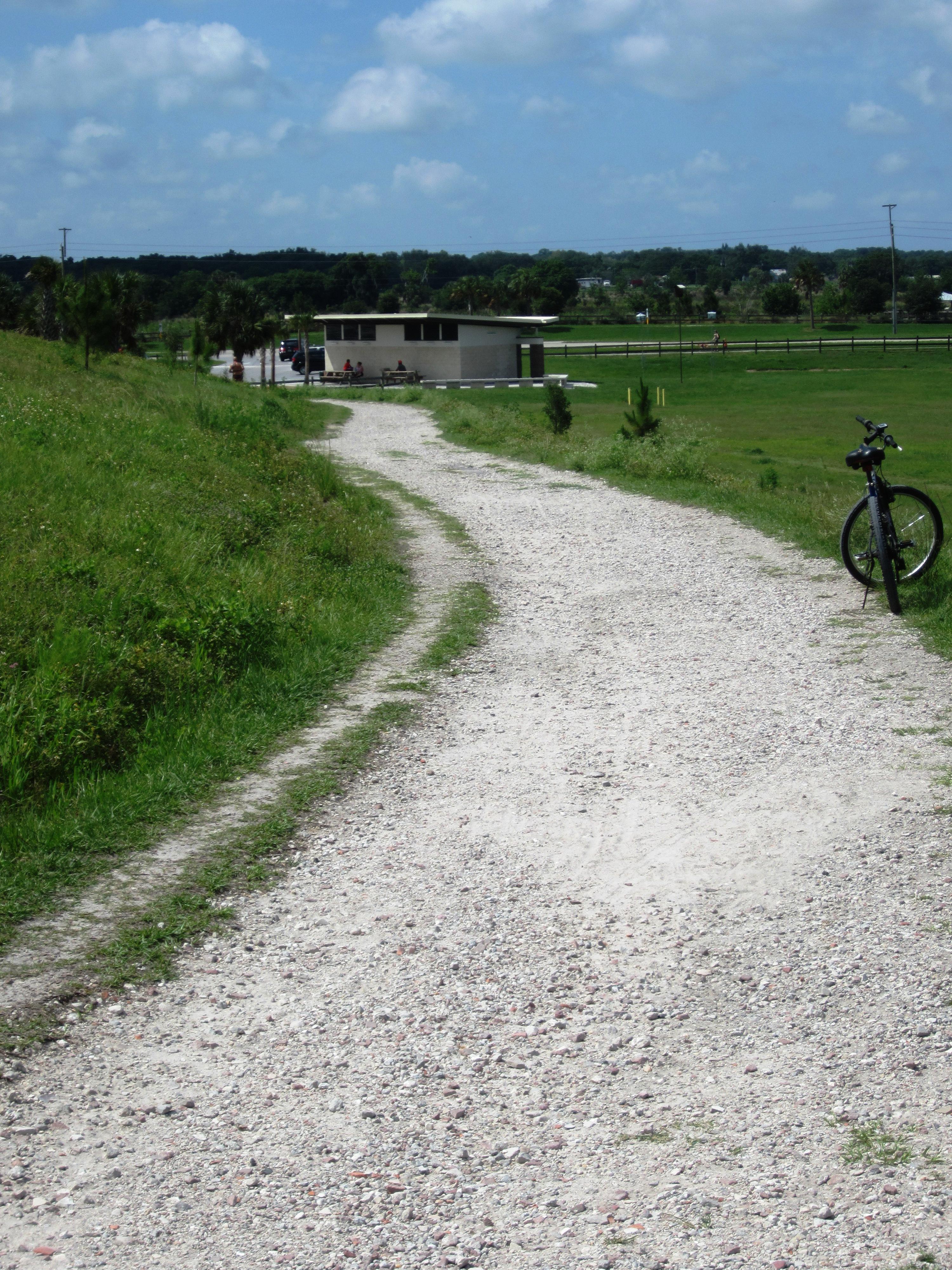 The Celery Fields photo