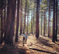 Tahoe Rim Trail 