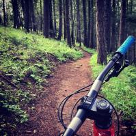 Annadel State Park 