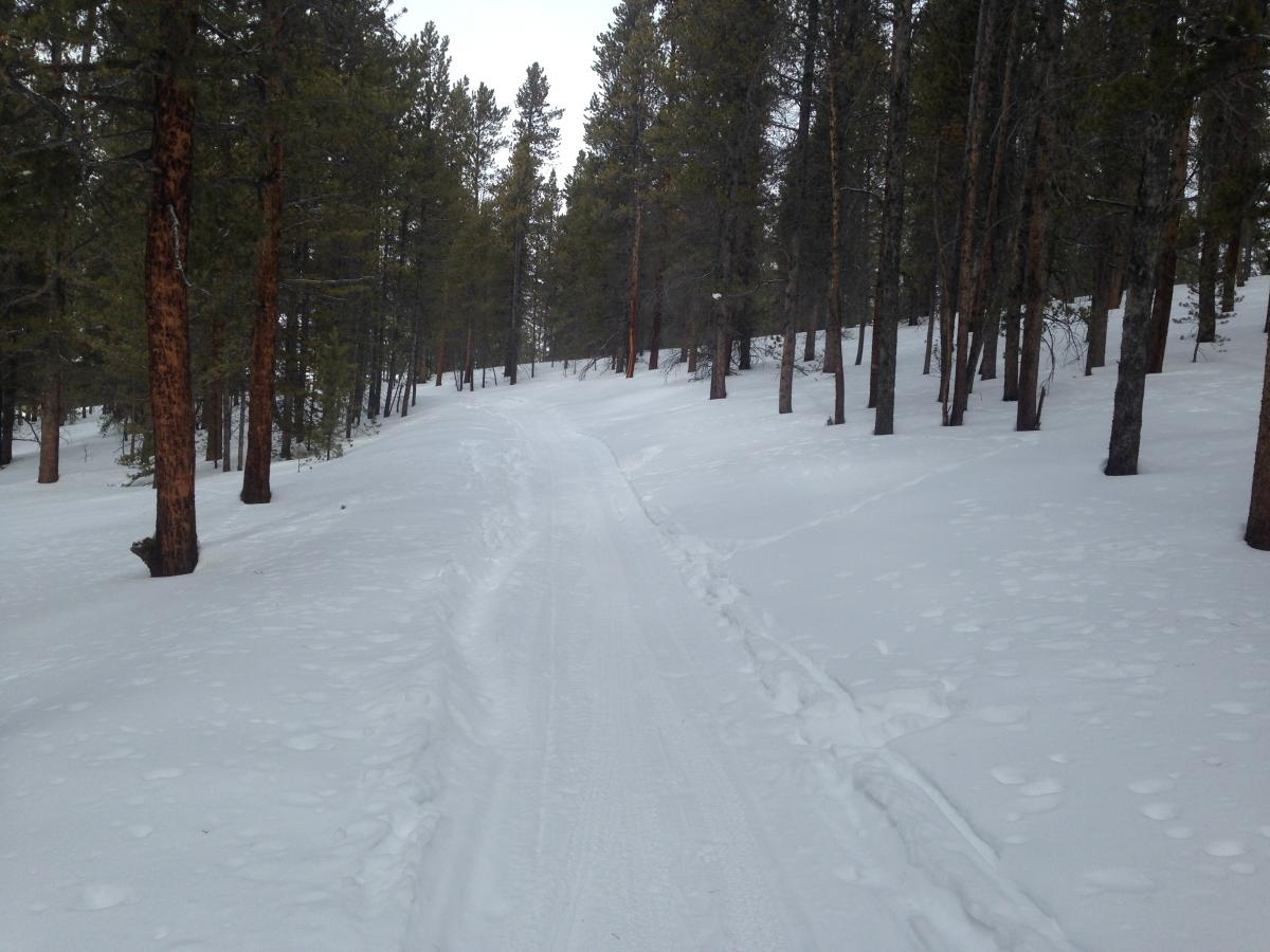 Colorado Mountain College Trails Photo SINGLETRACKS COM Colorado Mountain College Trails Photo SINGLETRACKS COM