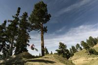 Snow Summit Bike Park 