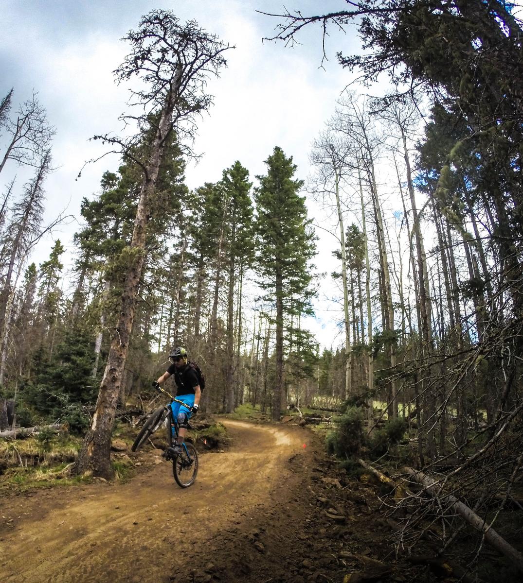Angel Fire Bike Park photo