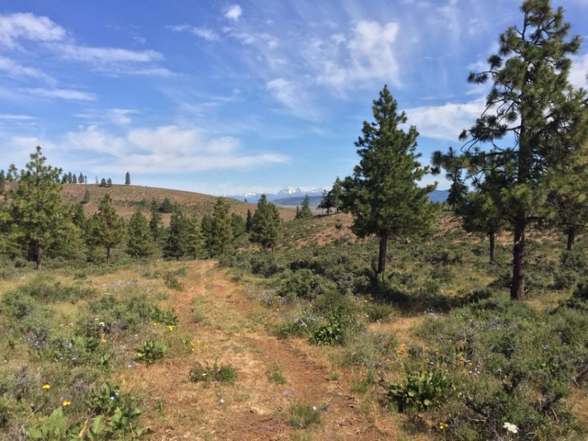 Joe Watt Canyon Mountain Bike Trail in Thorp, Washington