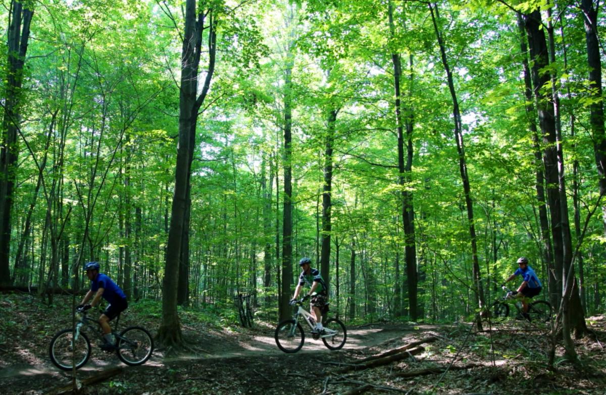 durham-forest-photo-singletracks-com