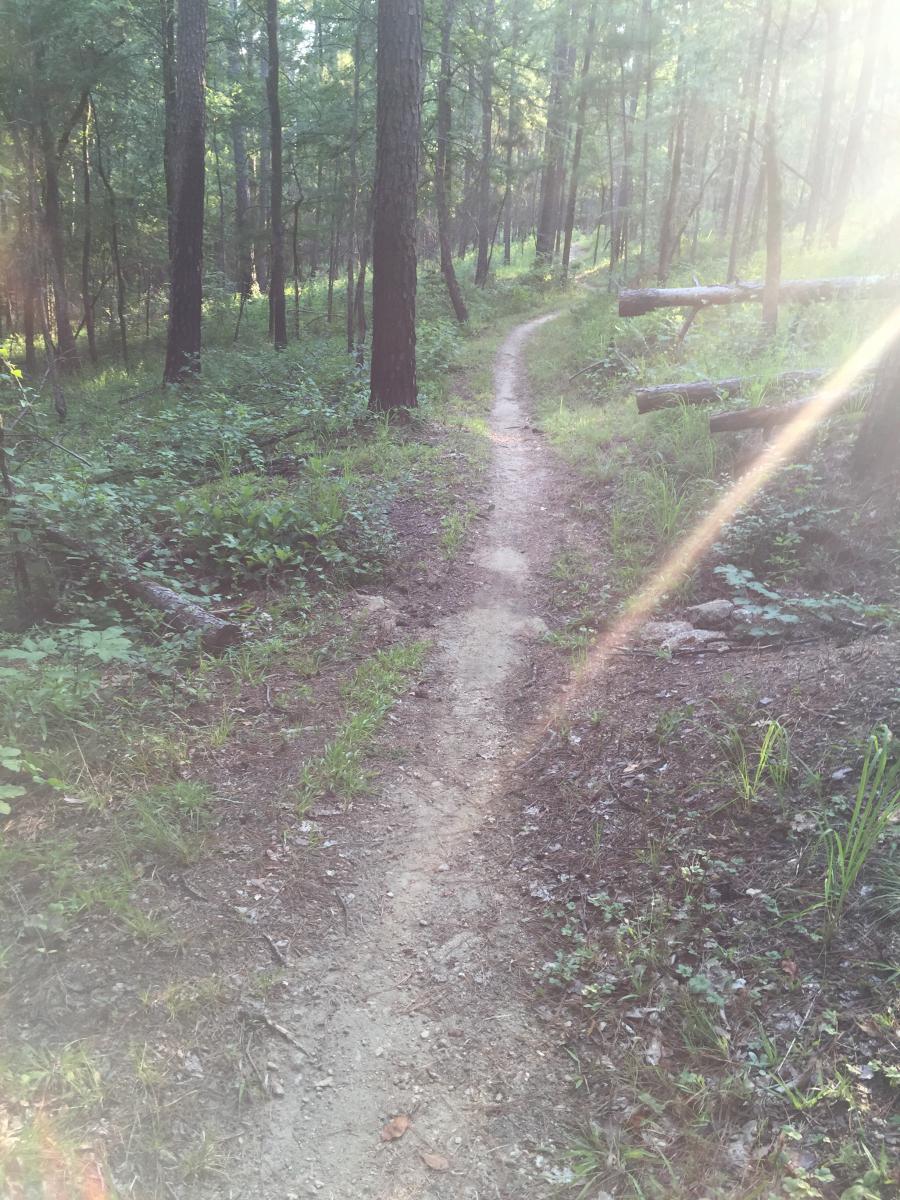 Forks Area Trail System (FATS) photo