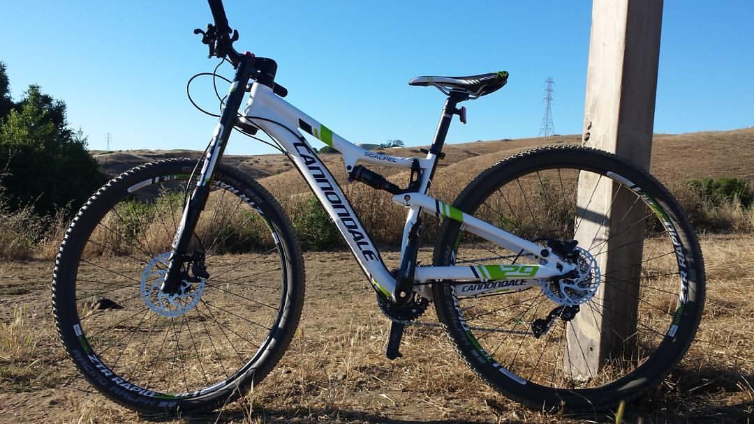 cannondale scalpel 29er