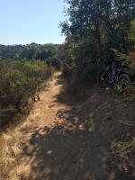 Mendocino Lake 