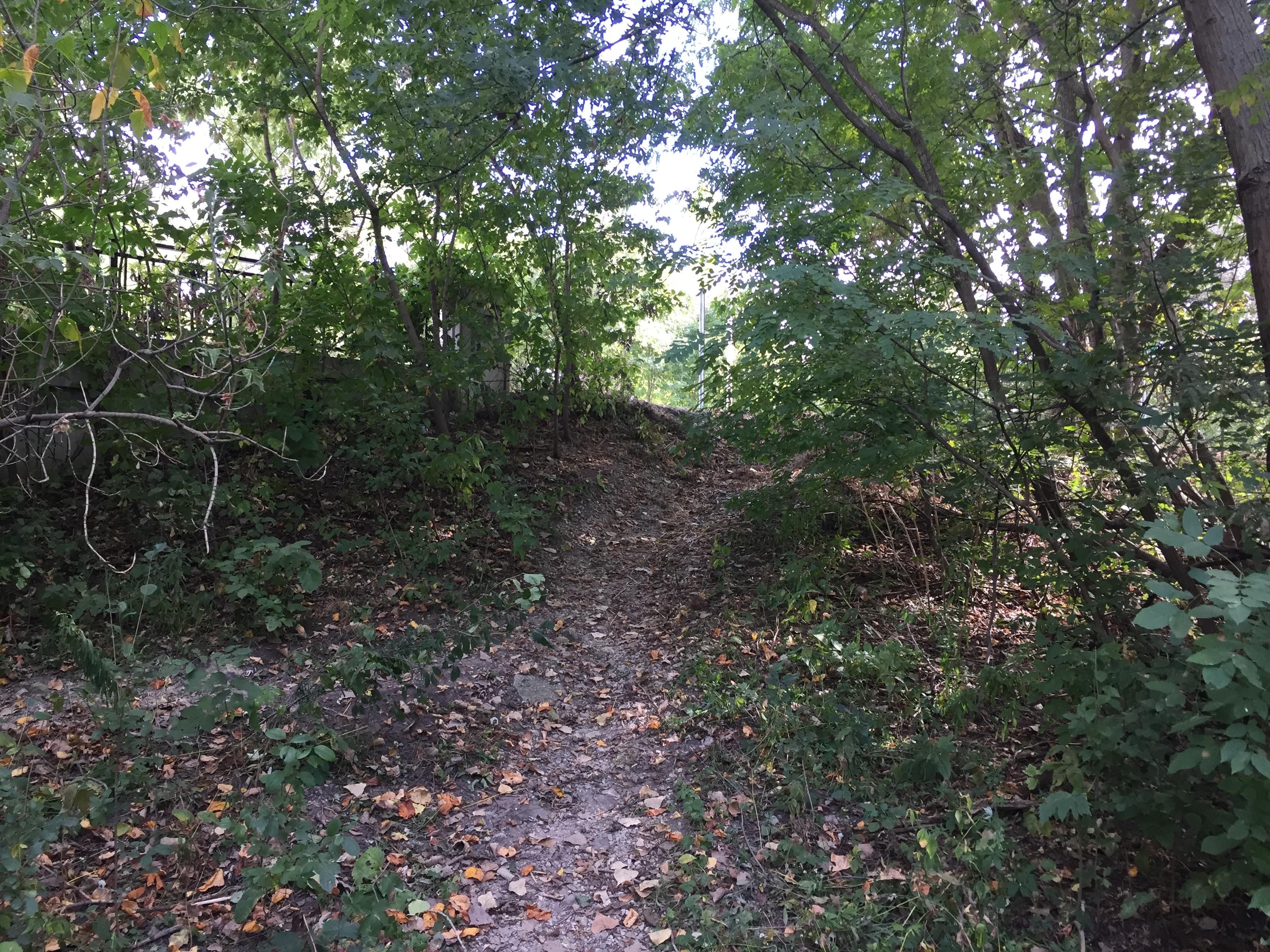 Forest Glen Woods photo