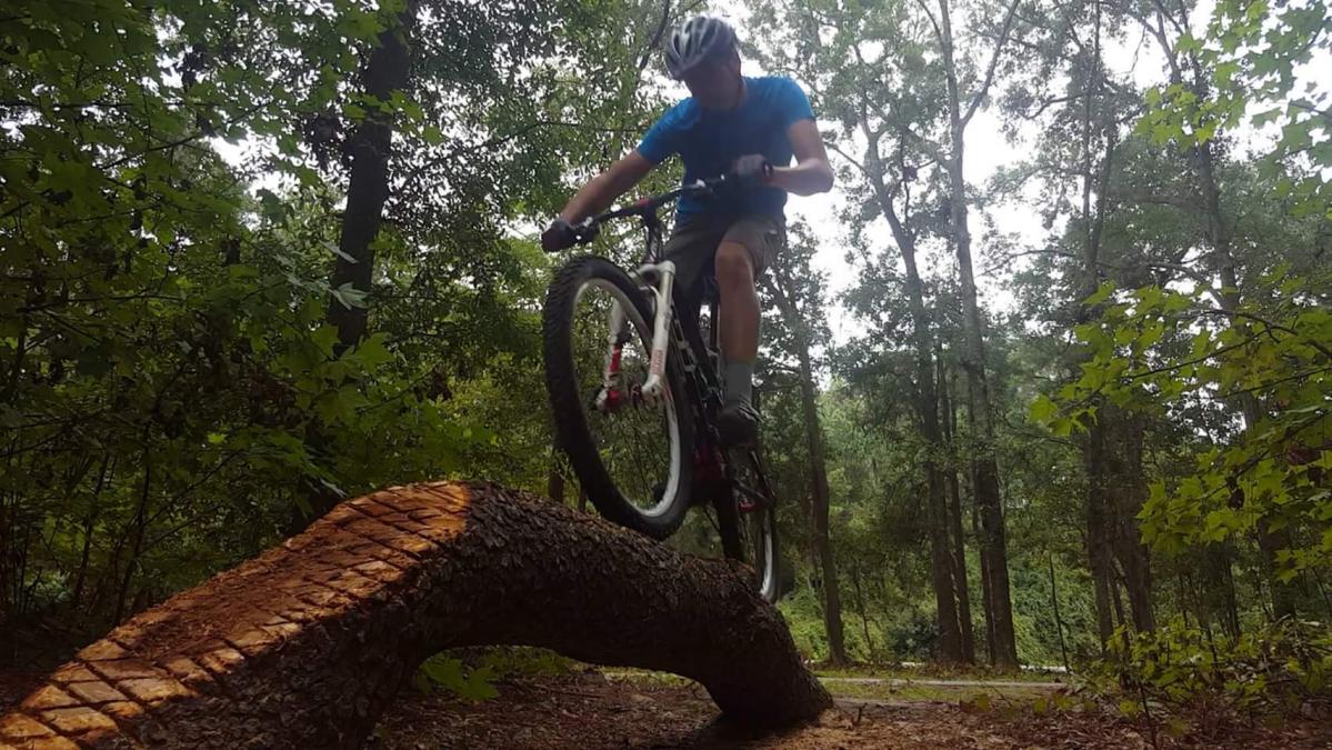 Whitemarsh Island Preserve Trails photo