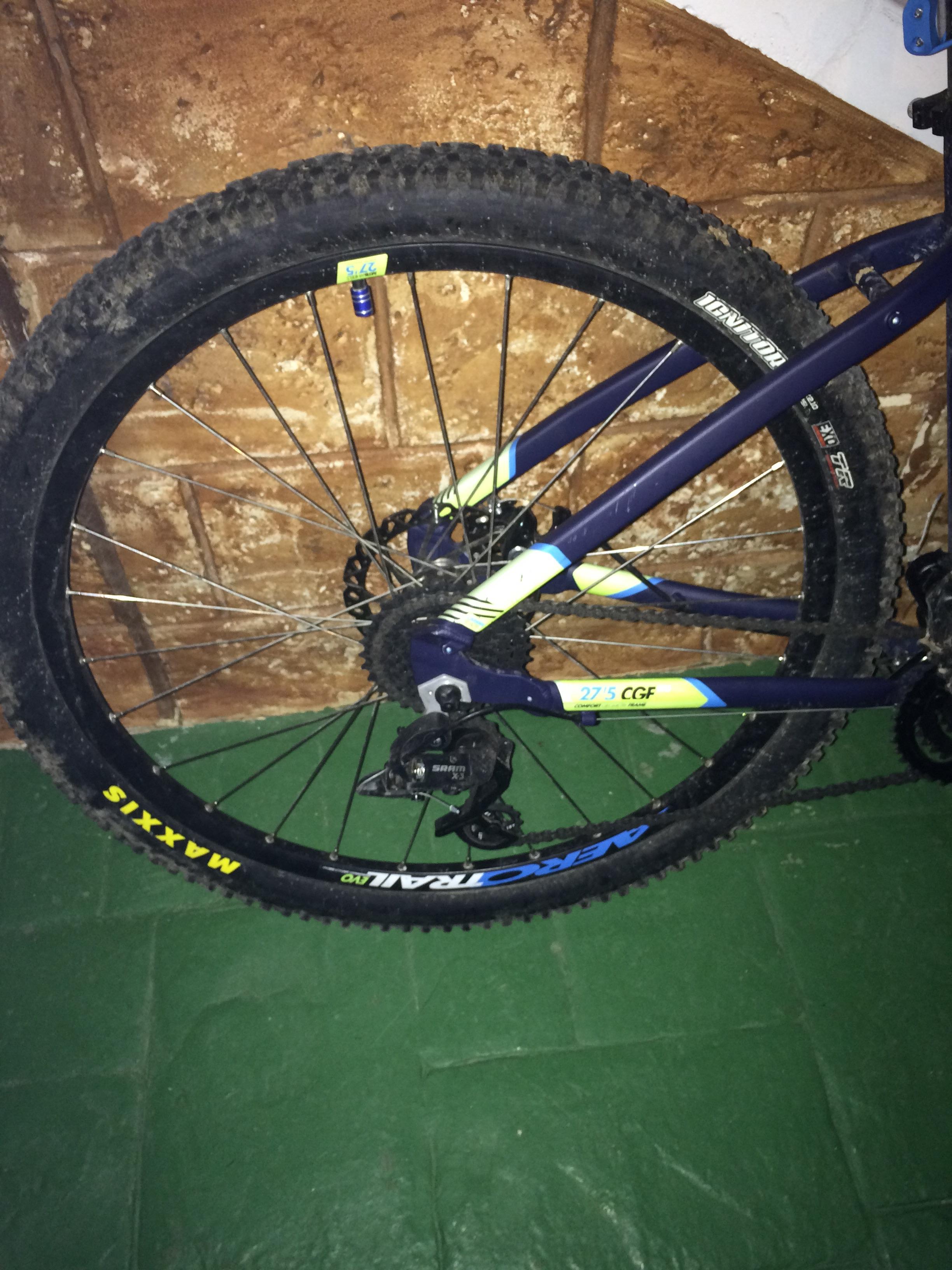 maxxis ignitor