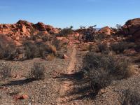 Little Red Rock Trail 