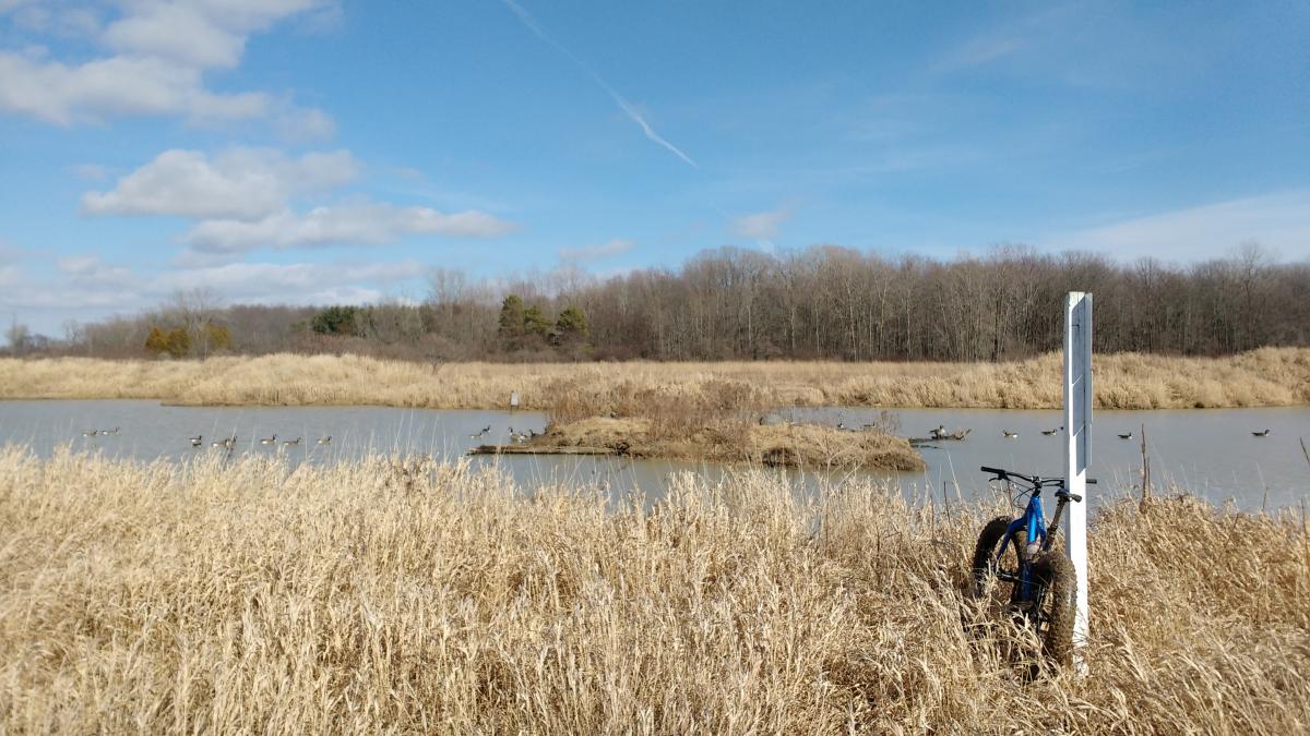 Fingal wildlife management area Mountain Bike Trail in Fingal, Ontario