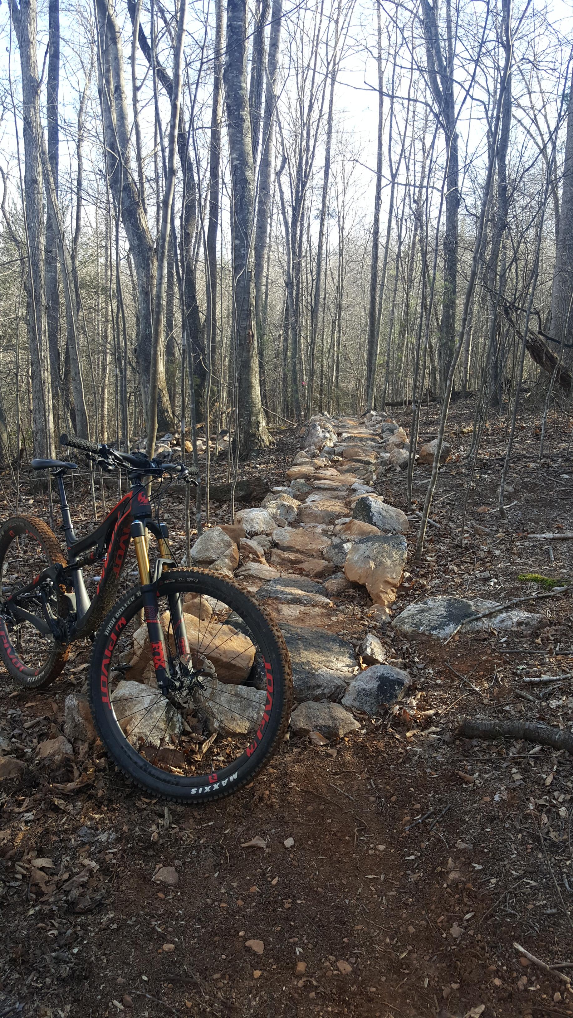 Woolwine Trails Shiners revenge photo