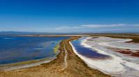 Coyote Hills Regional Park 