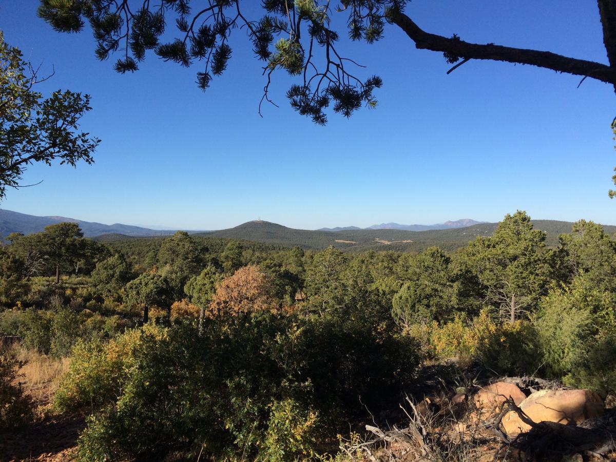 Manzanita Mountains Mountain Bike Trail in Tijeras, New Mexico