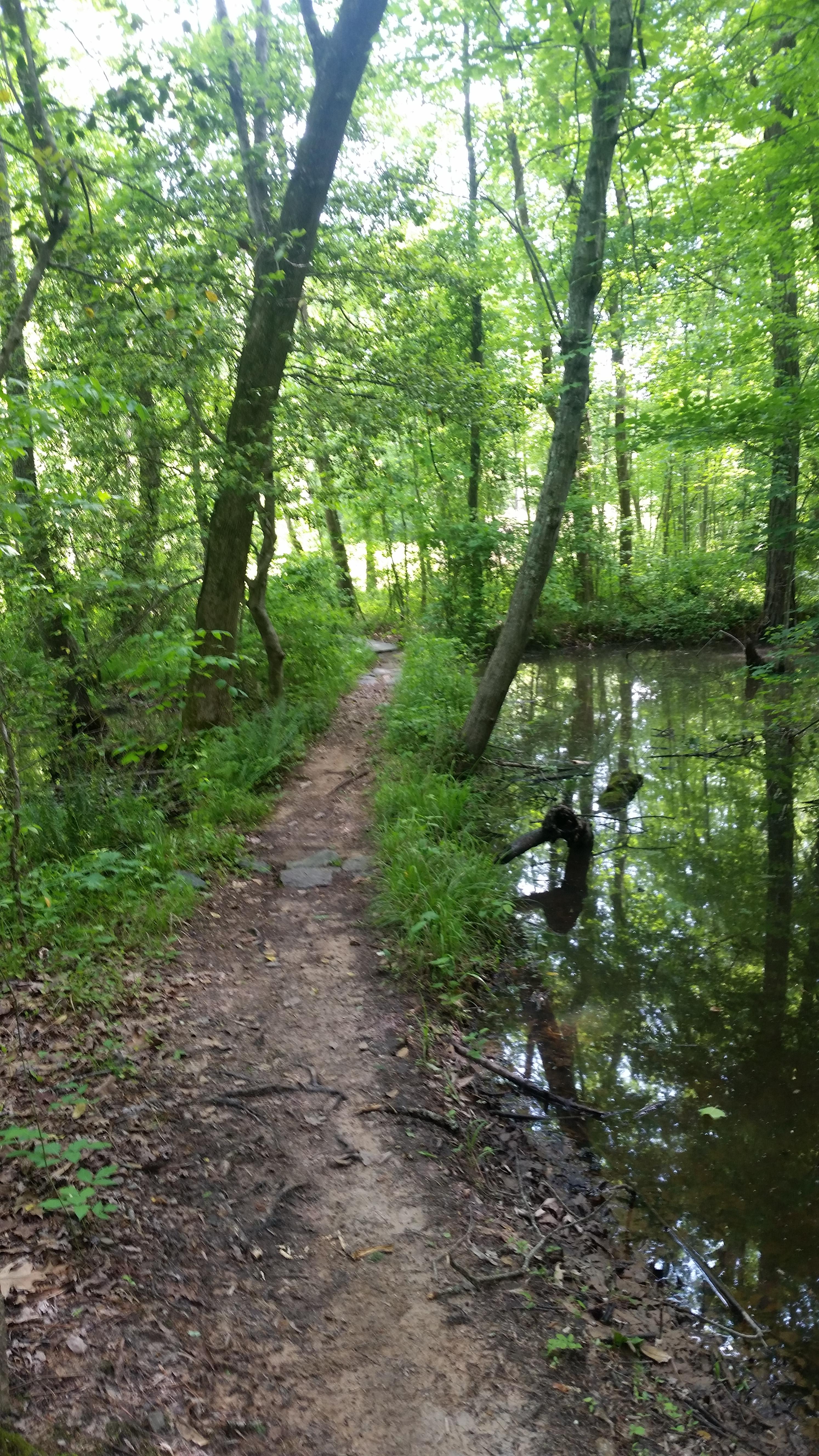 research-triangle-park-photo-singletracks-com