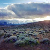 Peavine 