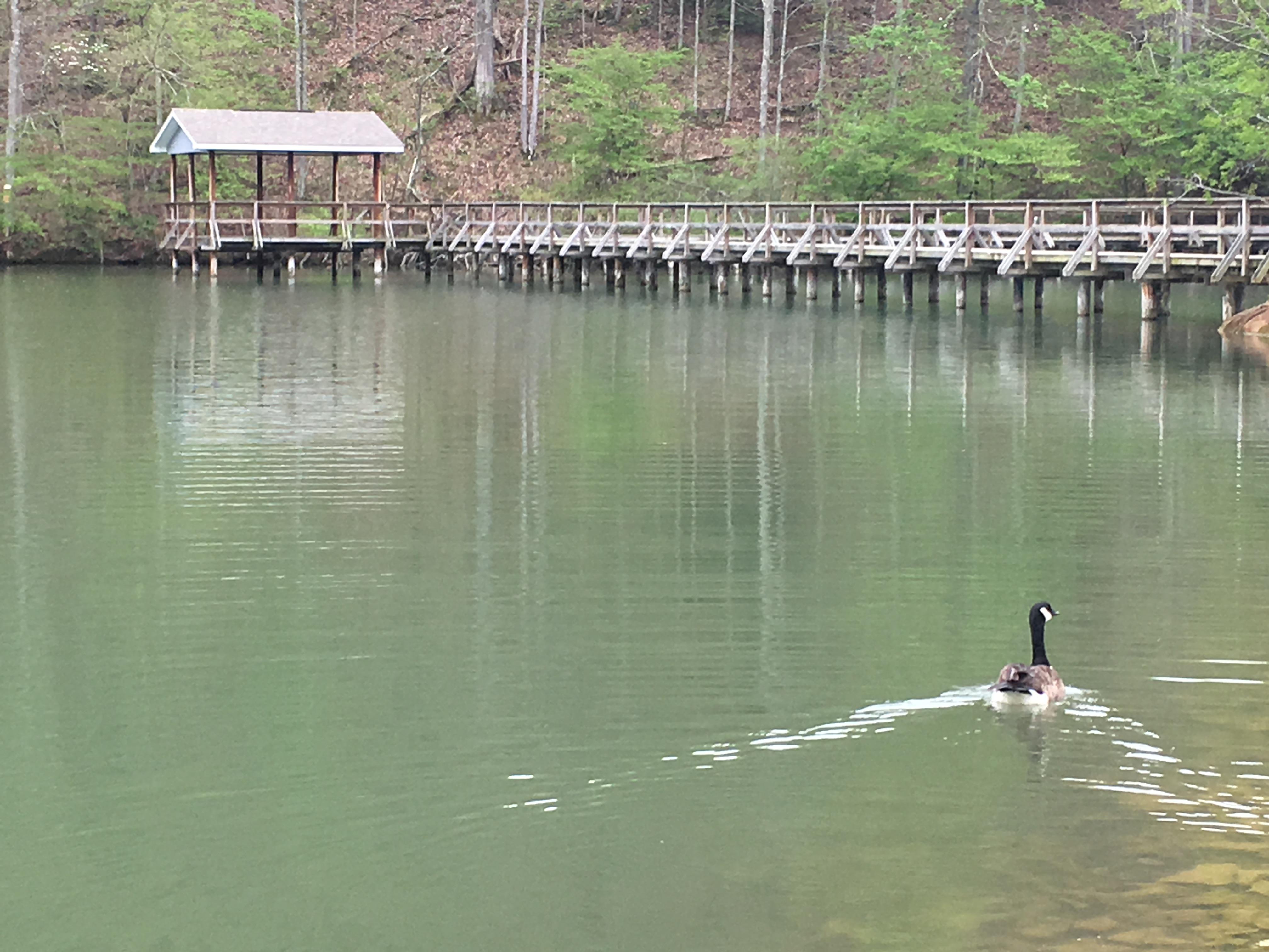 Steele Creek Park photo