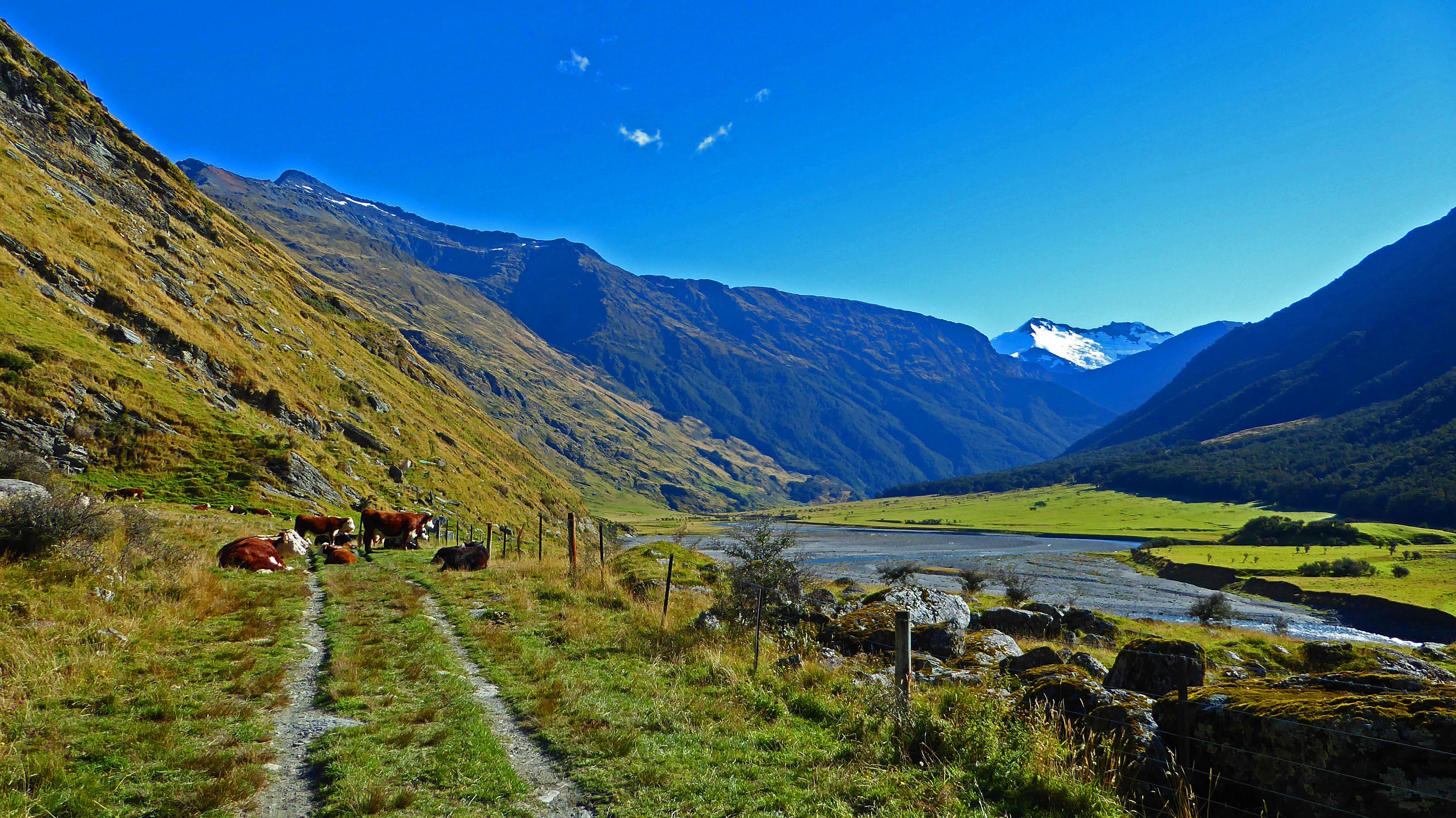 Aspiring Hut photo || SINGLETRACKS.COM