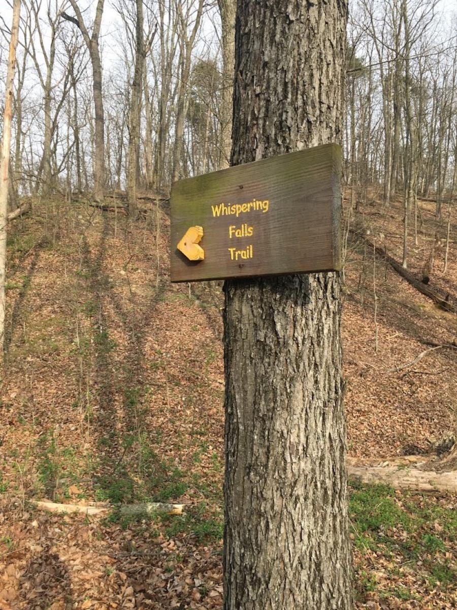 Antrim Township Community Park photo