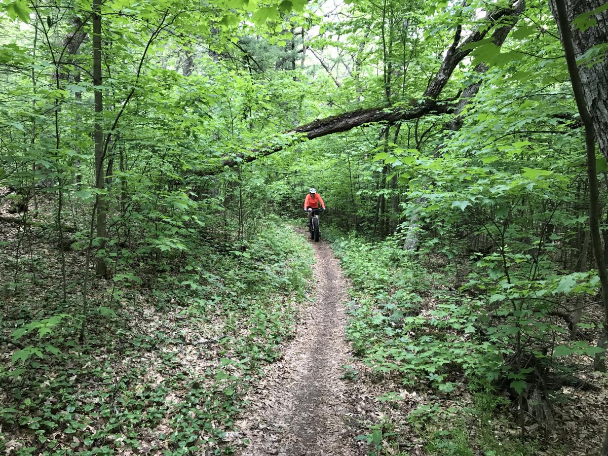hartman creek bike trails