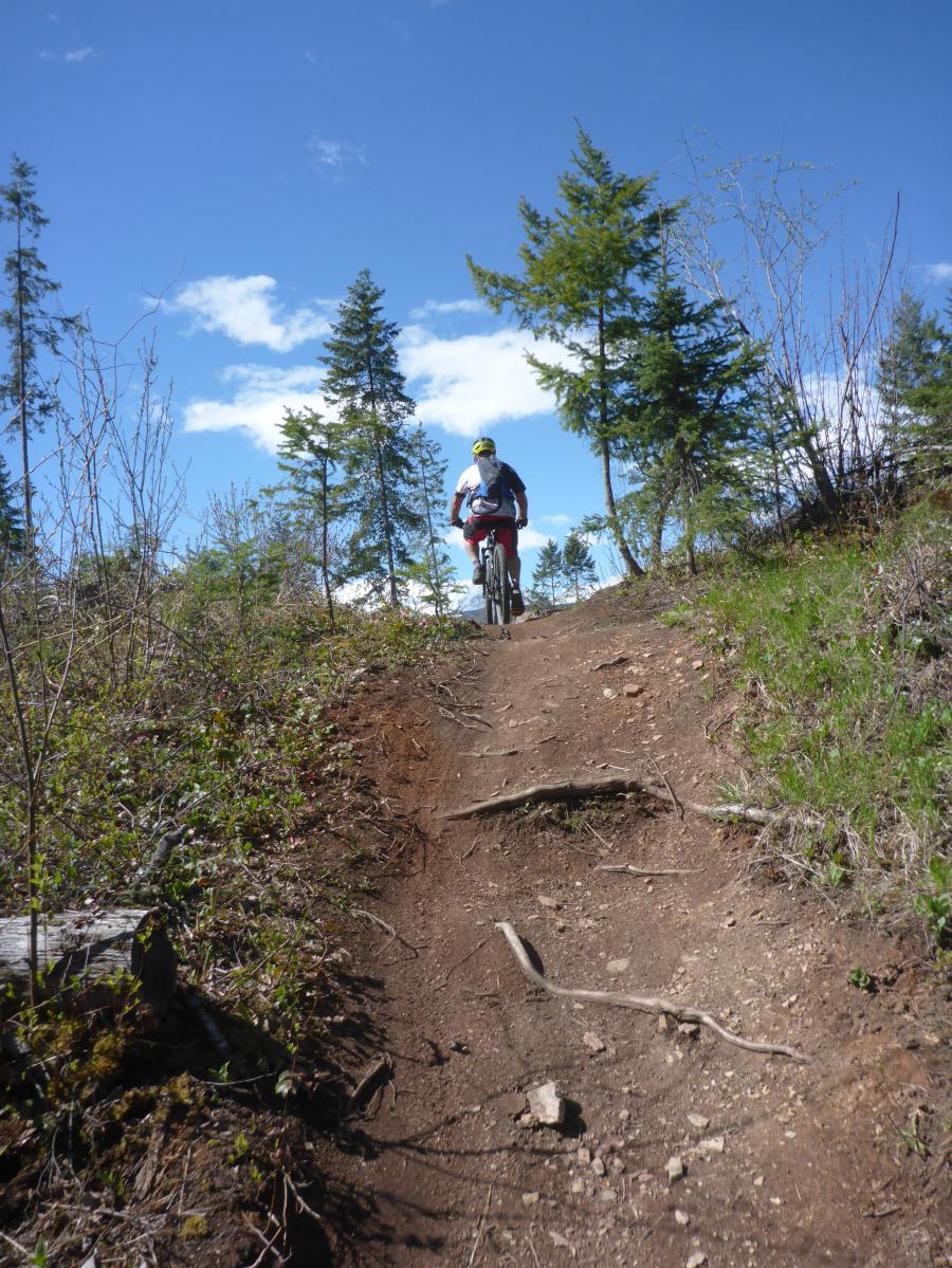 Mountain Shadows photo