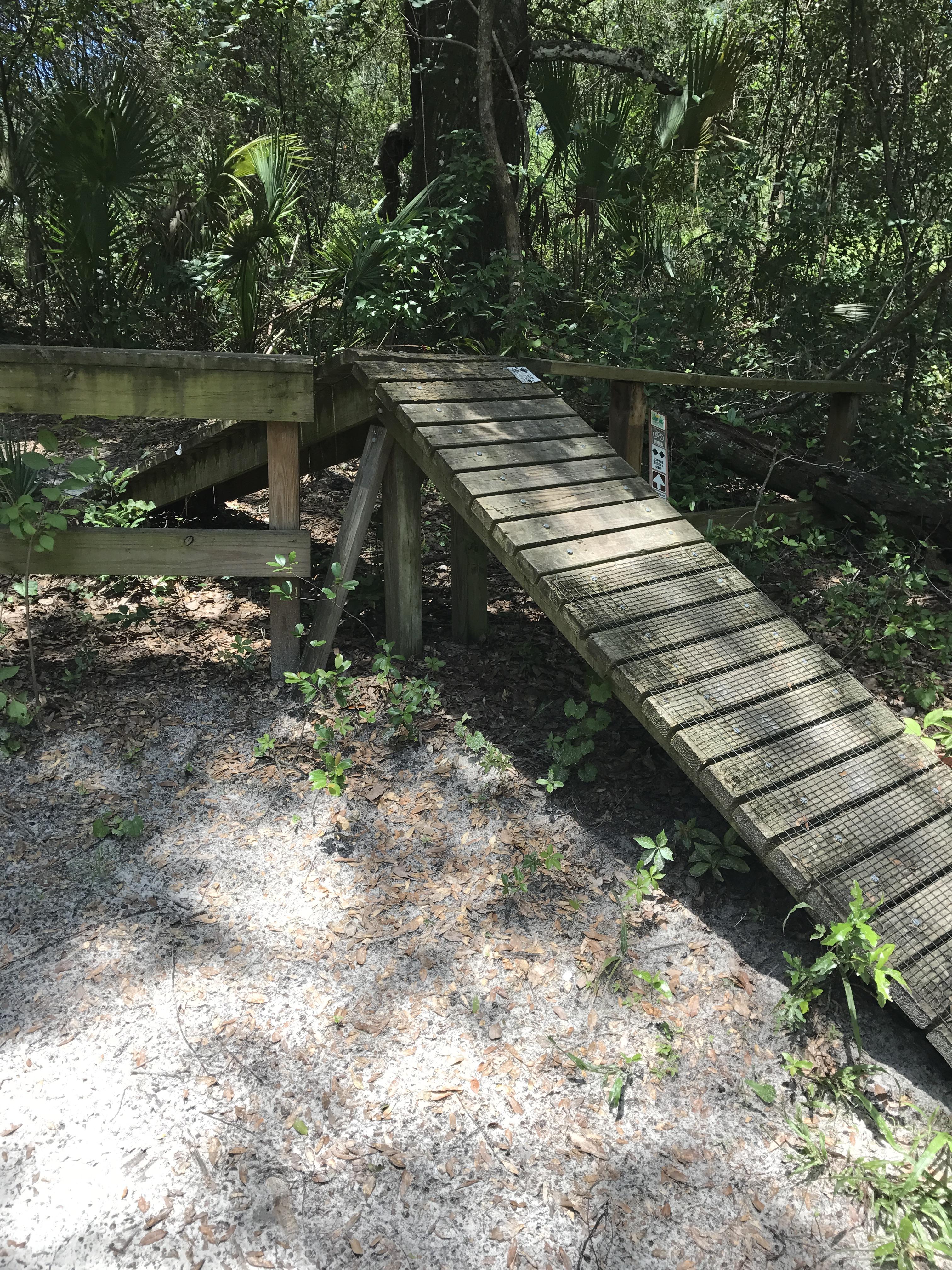 Mount Dora Trail photo