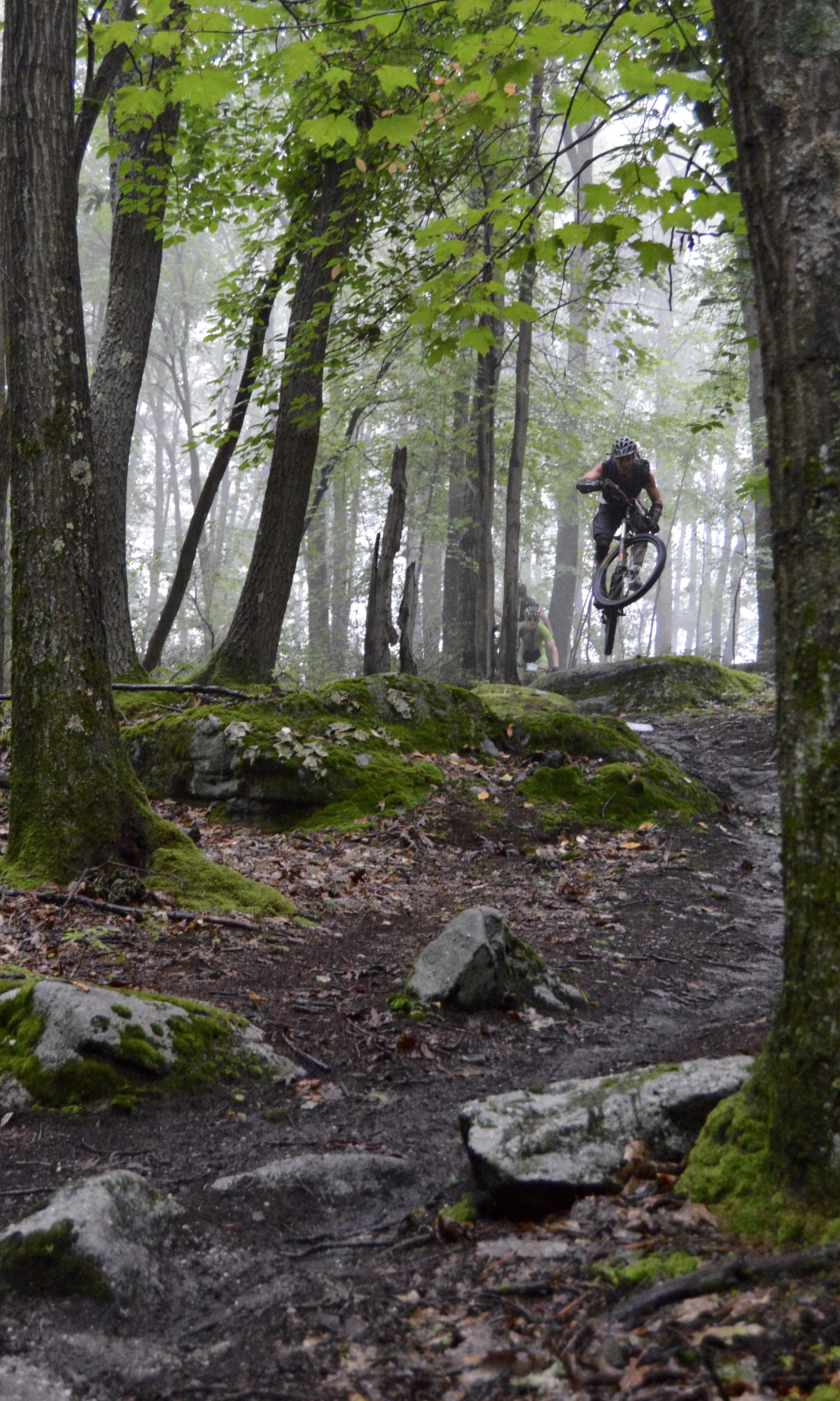 Big Bear Lake Trail Center photo