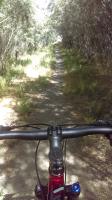 Steamboat Singletrack 