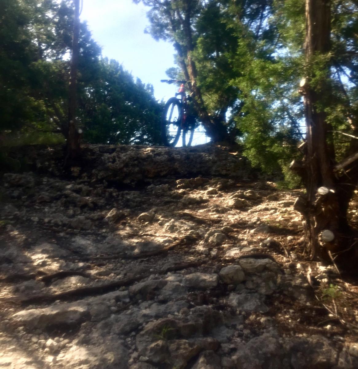 Brushy Creek Mountain Bike Trail in Round Rock, Texas
