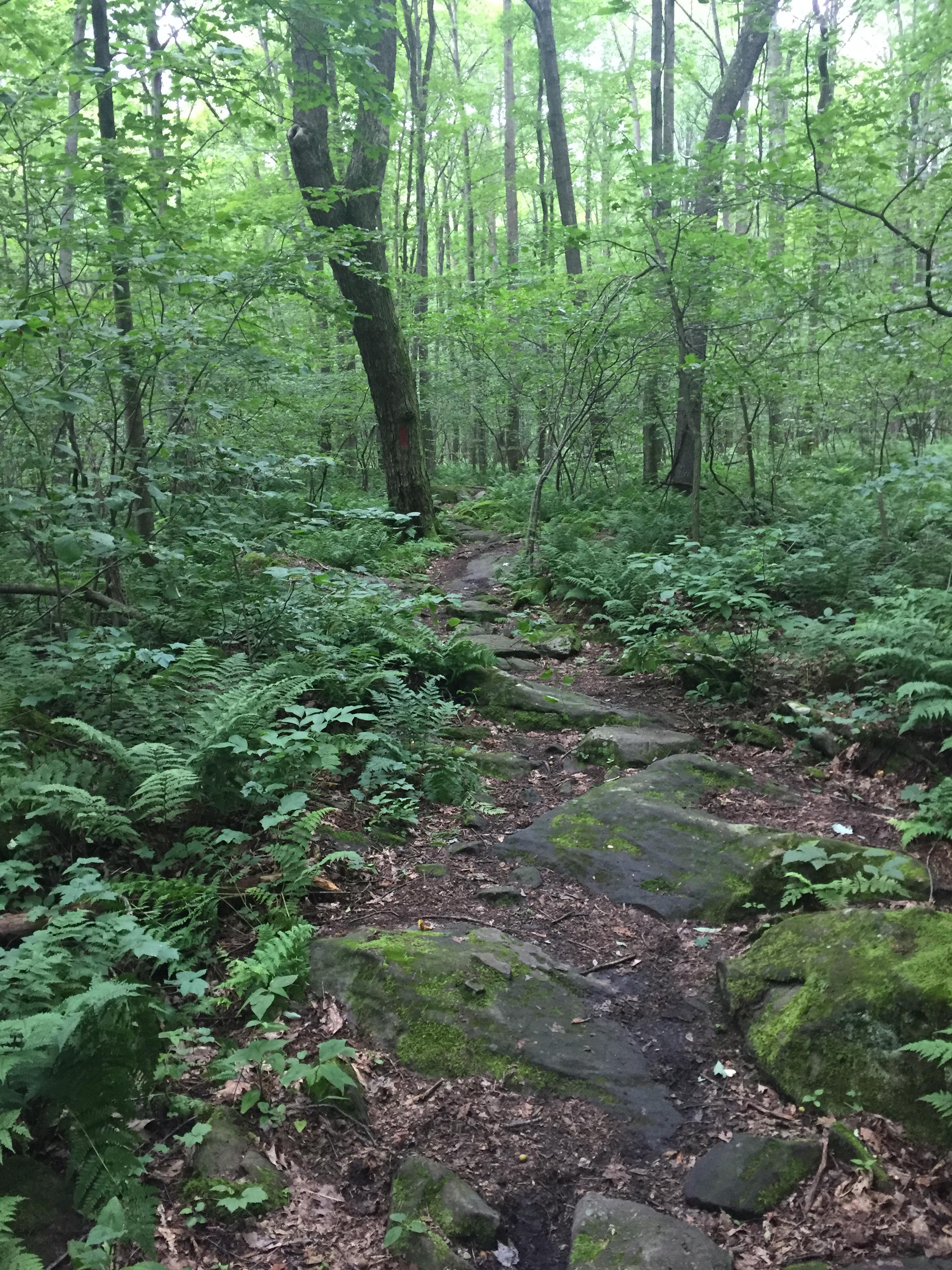 Moraine State Park photo